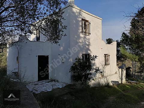 urla bademler de satilik arazi 150 adet zeytin agaci mevcut satilik arsa ilanlari sahibinden com da 980286511