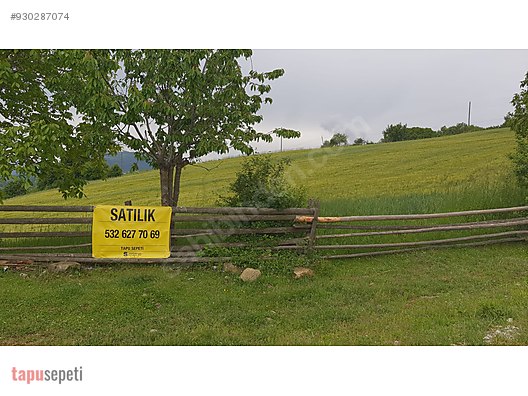 bolu piroglu koyunde 13 648 m2 villa yapimina uygun arsa video satilik arsa ilanlari sahibinden com da 930287074