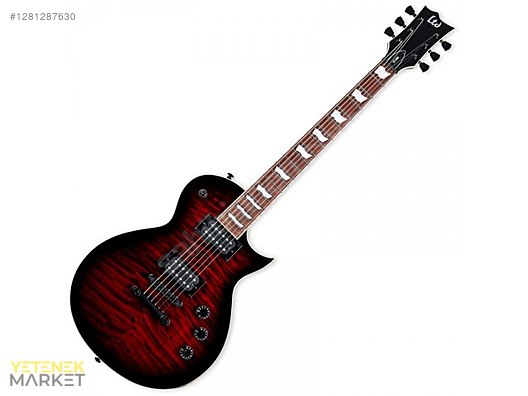 ESP Elektro Gitar