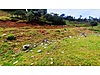 TUNCELİ MERKEZ HARÇİK ALT YAPISI HAZIR VİLLA ARSALARI