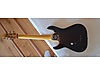 Schecter Elektro Gitar