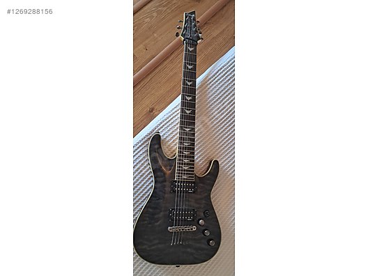 Schecter Elektro Gitar