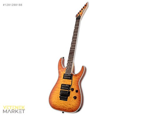 ESP Elektro Gitar