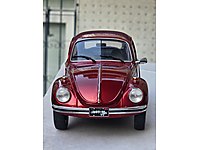 wosvagen beetle #1271289692