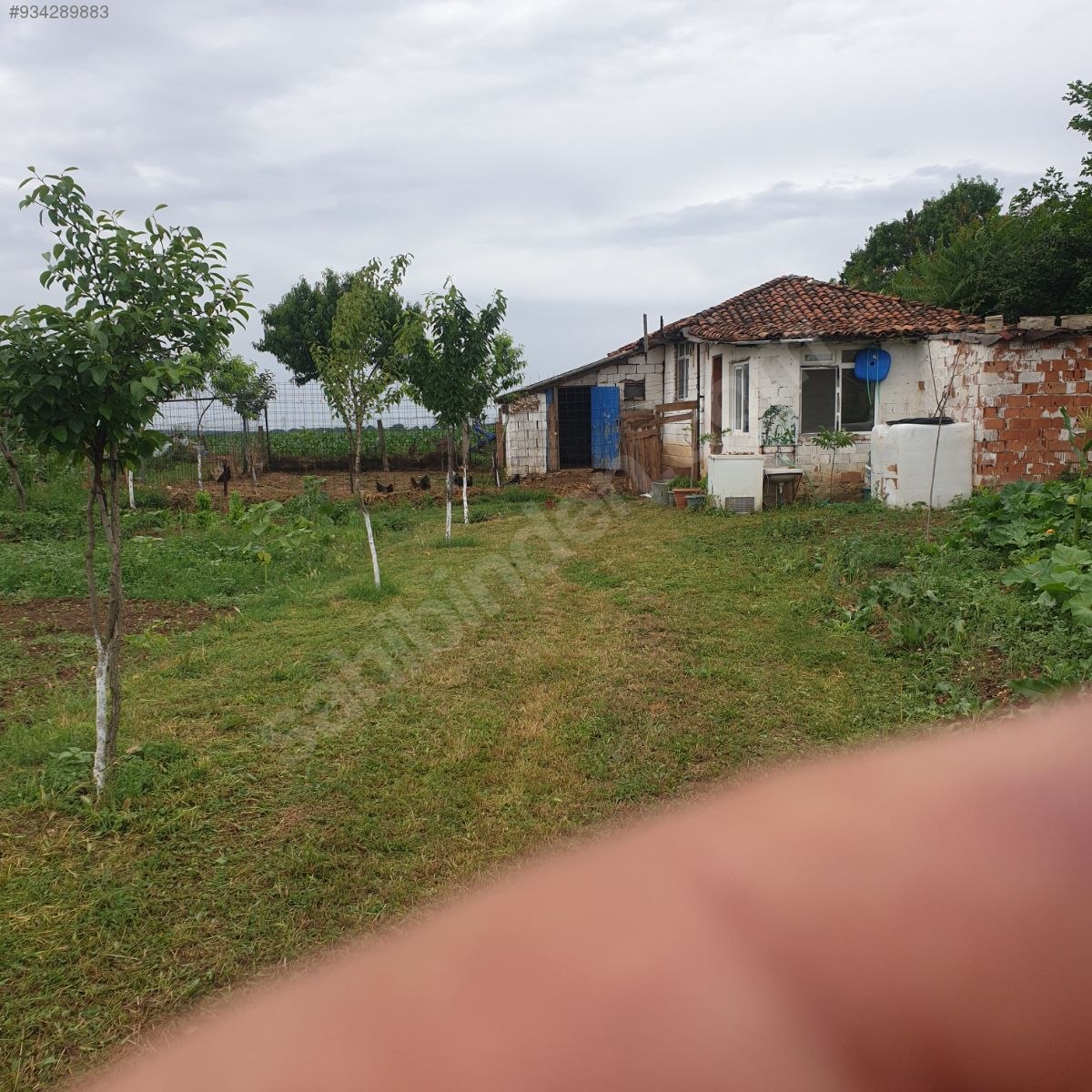 Vize Topçular köyünde acil satılık müstakil köy evi Satılık Müstakil