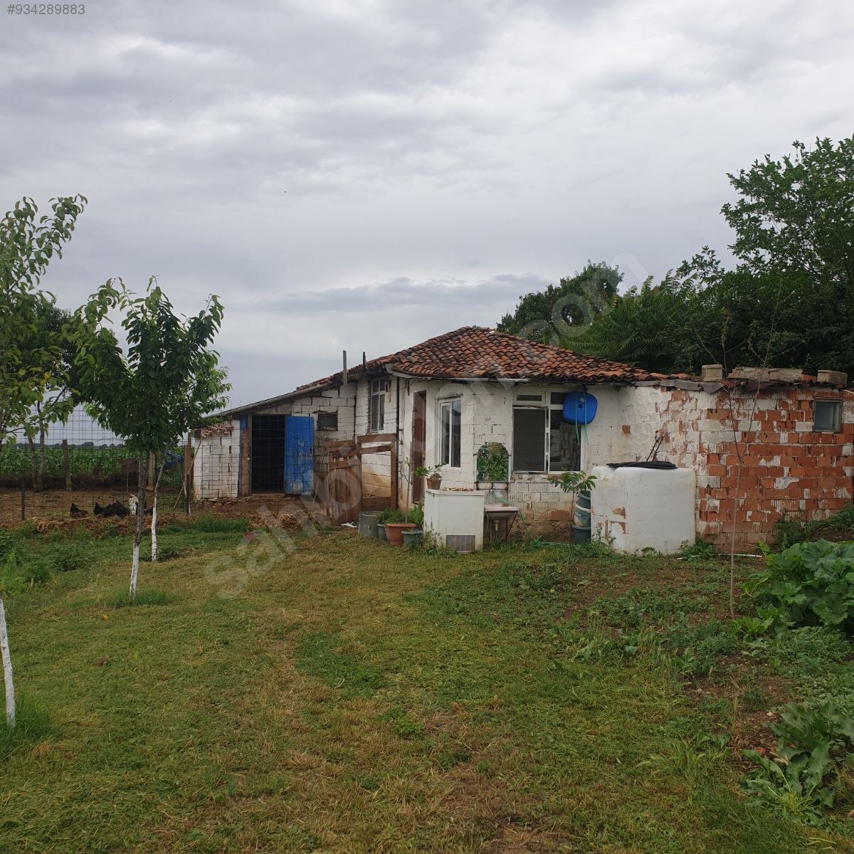 Vize Topçular köyünde acil satılık müstakil köy evi Satılık Müstakil