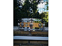 DW Exotic Edge Maple 14