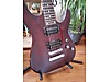 Schecter Elektro Gitar