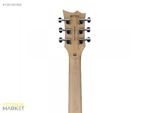 ESP Elektro Gitar
