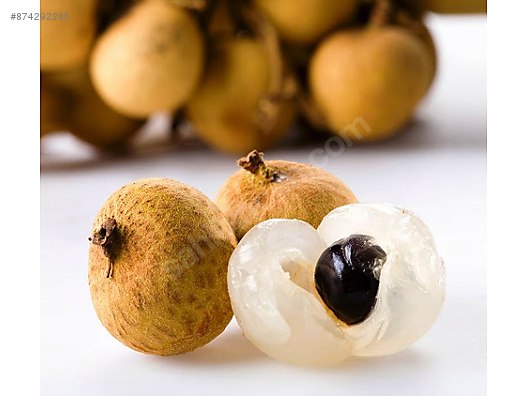 Longan Ejder Gozu Meyvesi Fidesi Cok Nadir Sinirli Sayida Bahce Malzemeleri Sahibinden Com Da 874292285