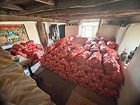 Kışlık soğan elle kesilmiş