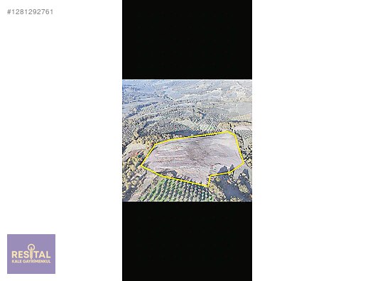 BURSA / GEMLİK / OSMANGAZİ SEÇKÖY / MURATOBA 25.000 M2 TARLA