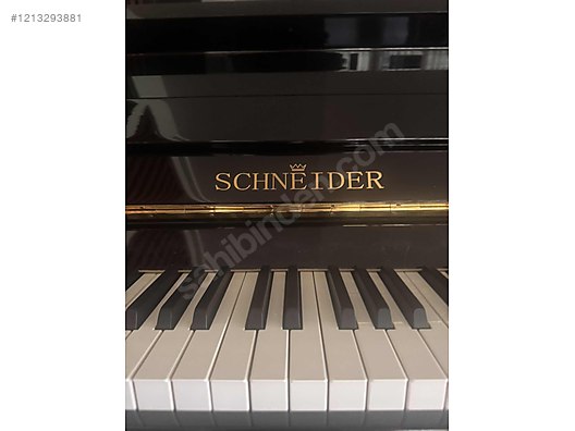 Schneider piyano - Piyano ve Tuşlu Çalgılar sahibinden.com'da