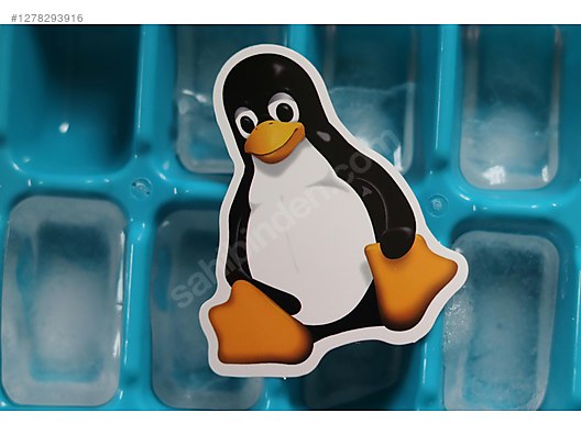 Özel Ders Verenler / Bilgisayar