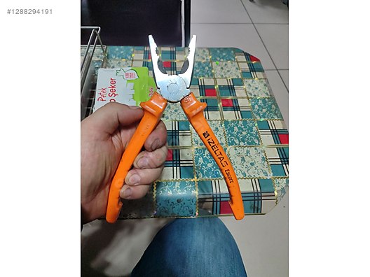 x5_1288294191wfh.jpg