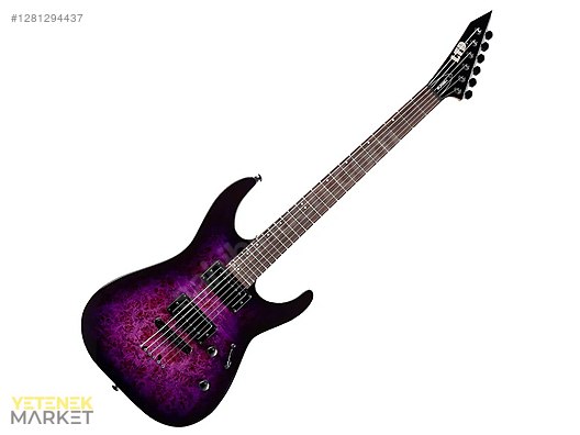 ESP Elektro Gitar
