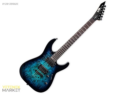 ESP Elektro Gitar