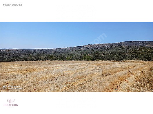 ŞARKÖY İĞDEBAĞLARINDA FIRSAT #1264300763