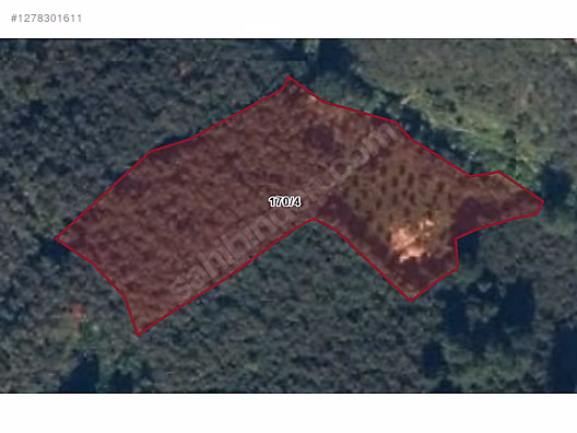 ŞEYHMUSA KÖYÜNDE 4 DÖNÜM BAKIMLI VERİMLİ FINDIK BAHÇESİ #1278301611