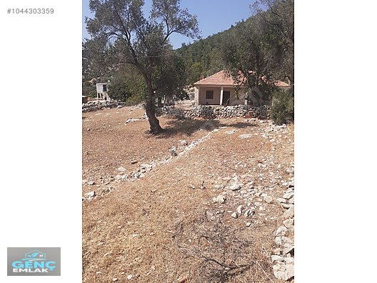 Bodrum yalıçiftlik de içerisinde ev olan yerimiz satılıktır. Satılık