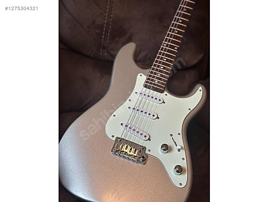 Schecter Elektro Gitar