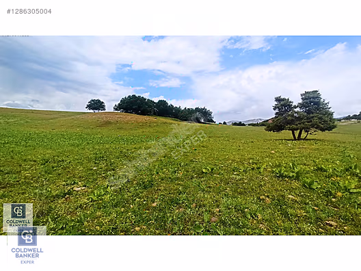 CB EXPER'DEN TUNCELİ'DE YATIRIMIN TAM ZAMANI #1286305004