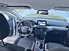 Vasıta / Otomobil / Ford / Focus / 1.5 EcoBlue / Trend X