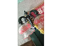 MUHTESEM GORSELE SAHIP