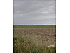 TEK TAPU 5300M2 TARLA