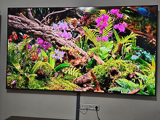 ②ALLEGiA液晶テレビ 今週発売の注目製品】約200万円の8Kチューナー内蔵85V型液晶テレビ