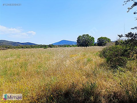 BARBAROS KÖYÜ'NDE YATIRIMA UYGUN TARLA