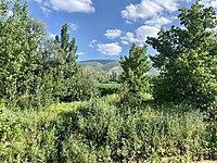 koyler satilik arsa ilanlari ve fiyatlari sahibinden com da