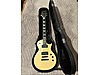 ESP Elektro Gitar