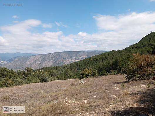 KELES ISSIZÖREN'DE EN UYGUN FİYAT SATILIK 9110 M2 TARLA #1286311508