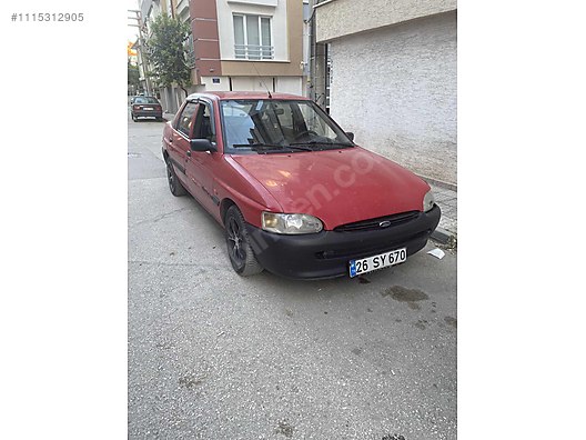 gül ve kuran resmi yalayan kızlar