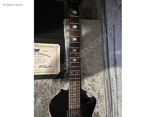 ESP Elektro Gitar