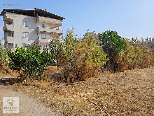 nazilli dallica mahallesinde 812 m2 konut imarli satilik arsa satilik arsa ilanlari sahibinden com da 979313169