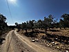 EDREMİT ZEYTİNLİ'DE YOLA CEPHE 7.920 m² VERİMLİ ZEYTİNLİK