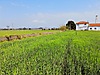 BURSA KARACABEY SEYRANDA İZMİR YOLUNA CEPHE SATILIK ARAZİ