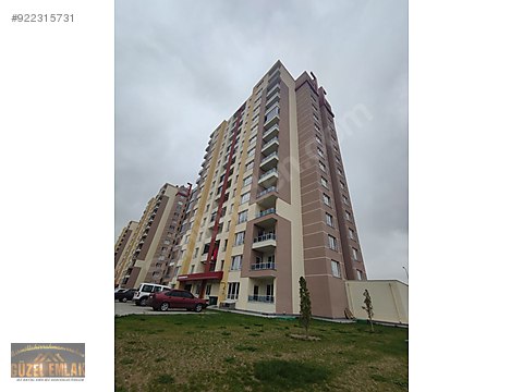 Guzel Emlak