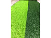 Çim Halı Modelleri 20 mm, 30 mm, 40 mm, 55 mm