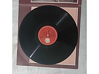 Temiz plak 2 adat tek fiyat