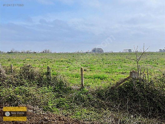 TALAT EMLAKTAN SATILIK 84.300 M2 FINDIK ARAZİSİ #1241317060