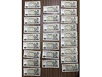 Koleksiyon kâğıt para