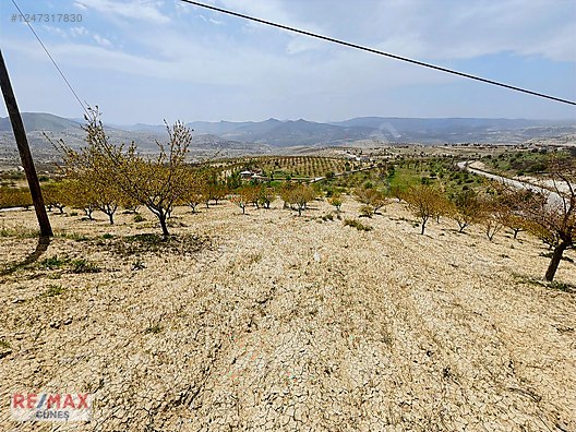 AKÇADAĞ KEPEZ DE SATILIK 24.350 M2 EKİLİ TARLA #1247317830