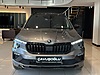 Vasıta / Arazi, SUV & Pickup / Skoda / Kamiq / 1.5 TSI  / Monte Carlo