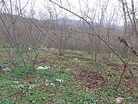 goktepe koyu satilik arsa ilanlari ve fiyatlari sahibinden com da