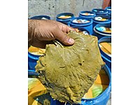 5 lik petlerde icinde 2 kg net yaprak var pet fiati 180 tl