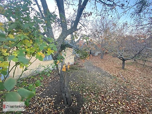 sahibinden satilik evli bağ hisarcık kayseri