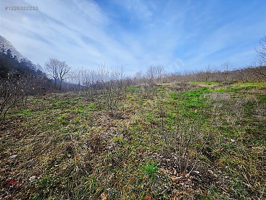 YUVAM EMLAK'TAN KORUBAŞI MAHALLESİNDE SATILIK TARLA #1226322233
